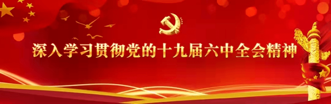 洪泉物業(yè)黨委組織學習貫徹黨的十九屆六中全會精神